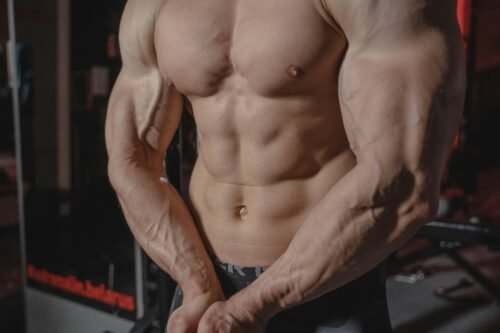 perfect muscle gain